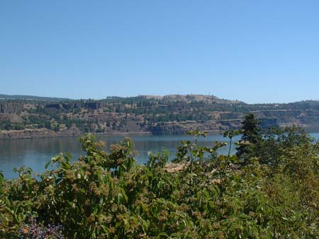 DSCF0001