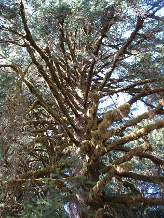 DSCF0016
