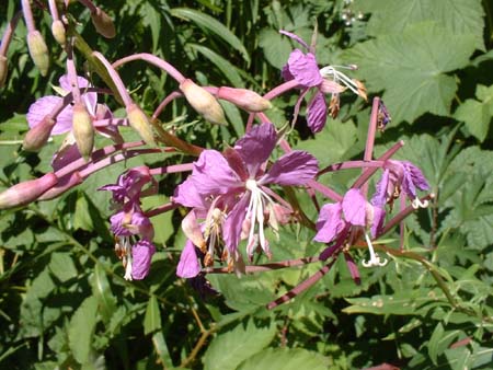 DSCF0027