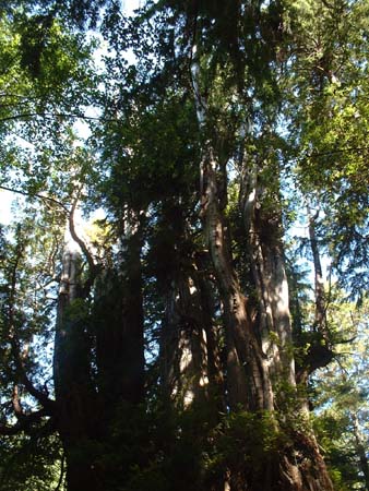 DSCF0048