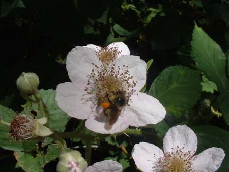 DSCF0055