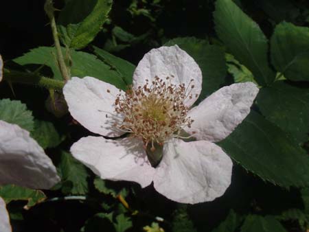 DSCF0056