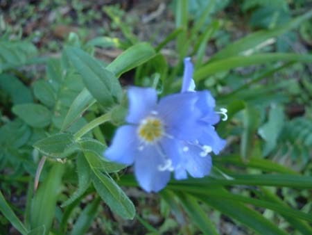 DSCF0073