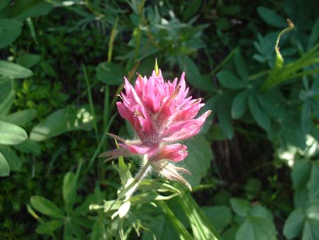 DSCF0075