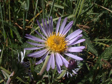 DSCF0081