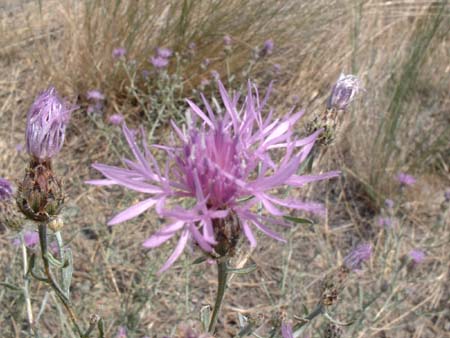 DSCF0094
