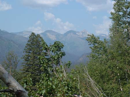 DSCF0115