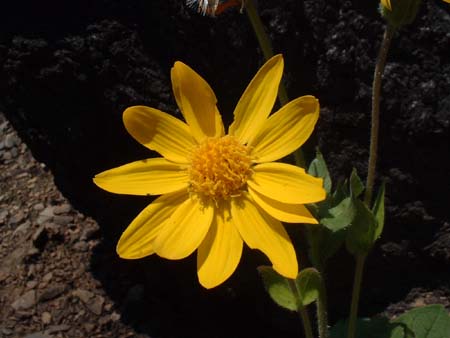 DSCF0134