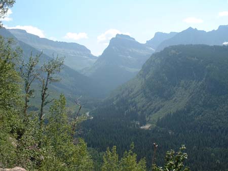 DSCF0141