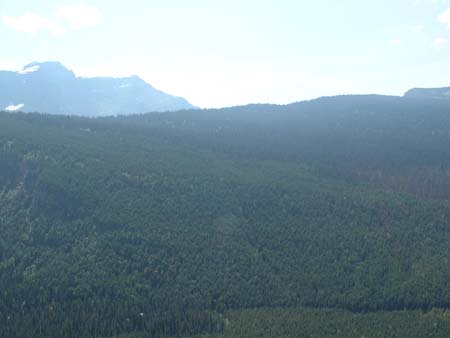 DSCF0146