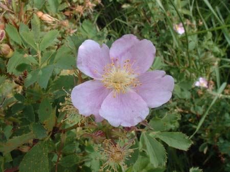 DSCF0193