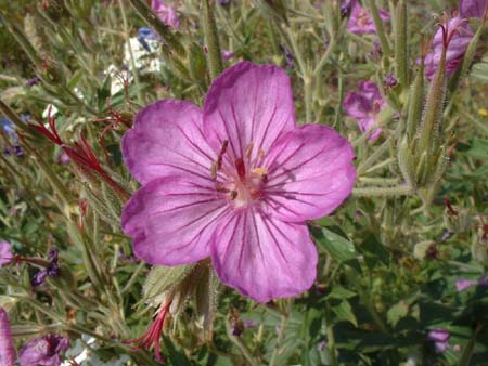 DSCF0196