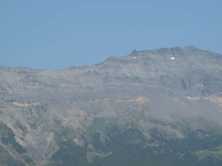 DSCF0204