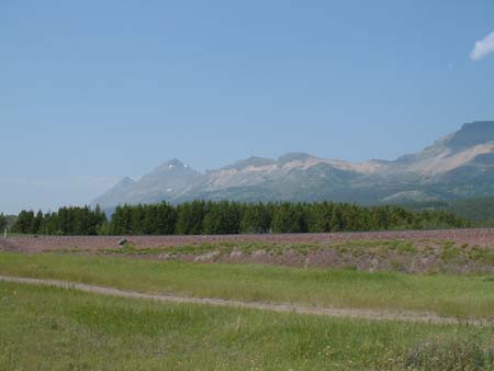 DSCF0205