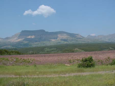 DSCF0206