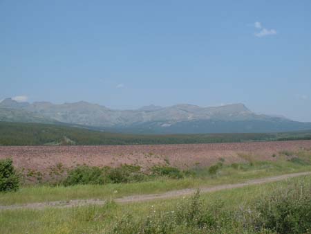 DSCF0207