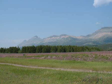 DSCF0208