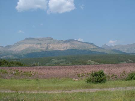DSCF0209