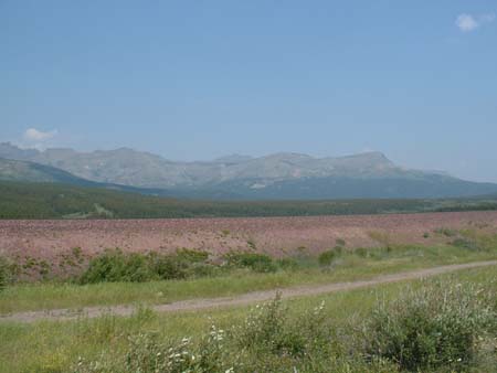 DSCF0210