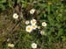 DSCF0042