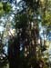 DSCF0048
