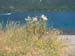 DSCF0054