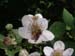 DSCF0055