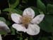 DSCF0056