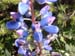DSCF0070