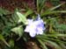 DSCF0072