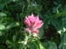DSCF0075
