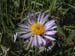 DSCF0081