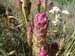 DSCF0083