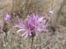 DSCF0094