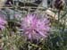 DSCF0096
