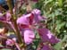 DSCF0132