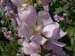DSCF0195