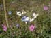 DSCF0197