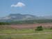 DSCF0206
