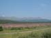 DSCF0207
