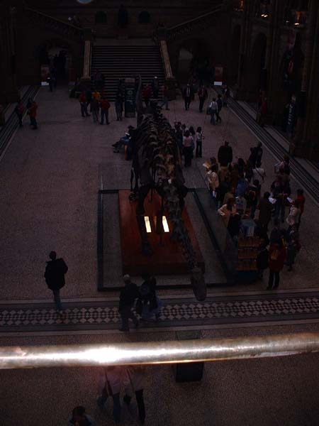 DSCF0683