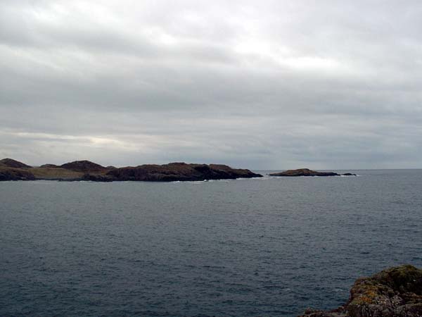 DSCF0778