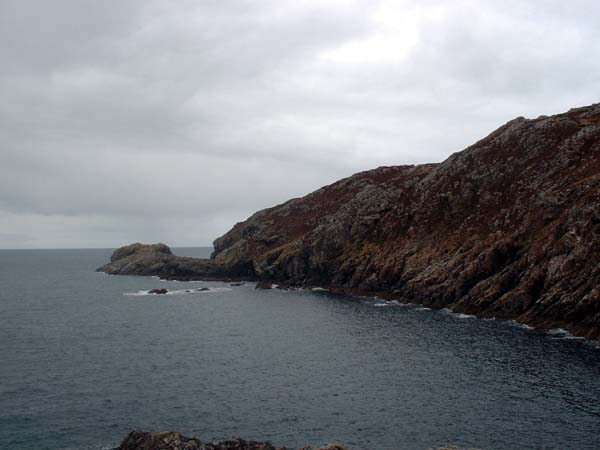 DSCF0779