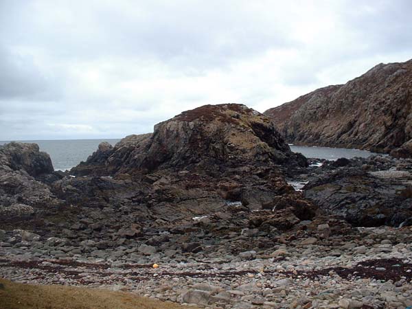 DSCF0790