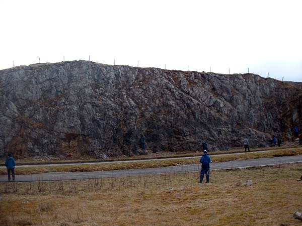 DSCF0831