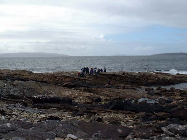 DSCF0866