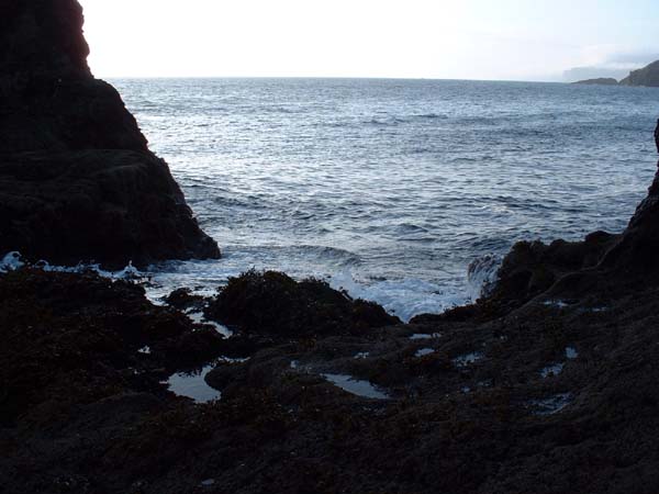 DSCF0889
