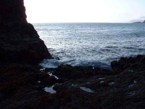 DSCF0891