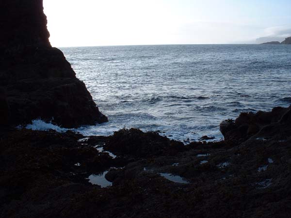 DSCF0892