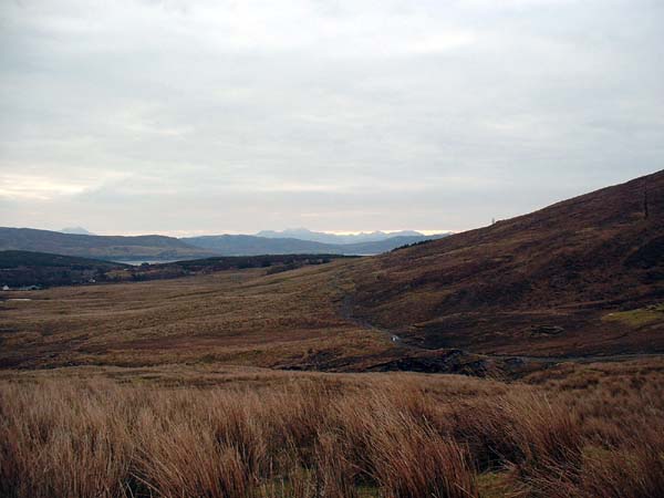 DSCF0894